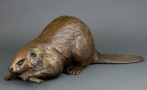 oregon state beaver stuffed animal