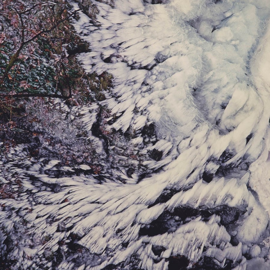 "Winged Winter Ice, Oregon" © Christopher Burkett